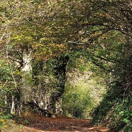 Apartamento La Fuente De La Quintana Santibanez de Murias